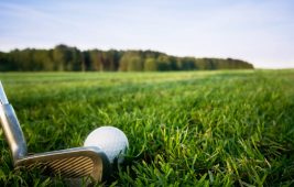 alquiler de autobuses malaga